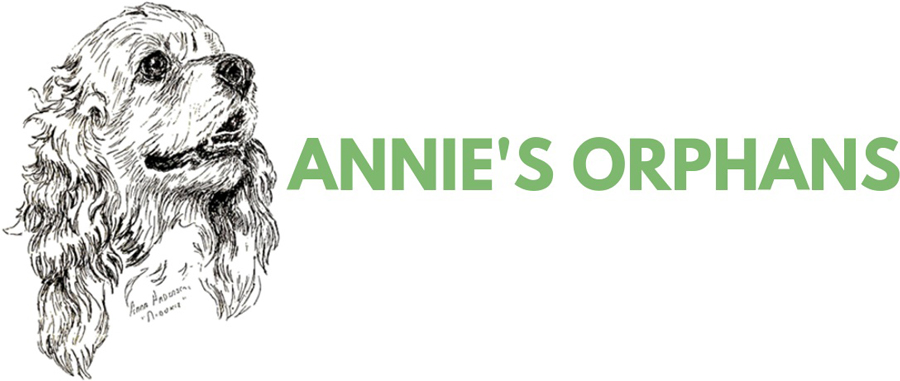 Annie's Orphans Logo