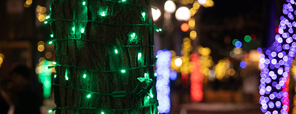 Closeup of a tree trunk with lights wrapped around it